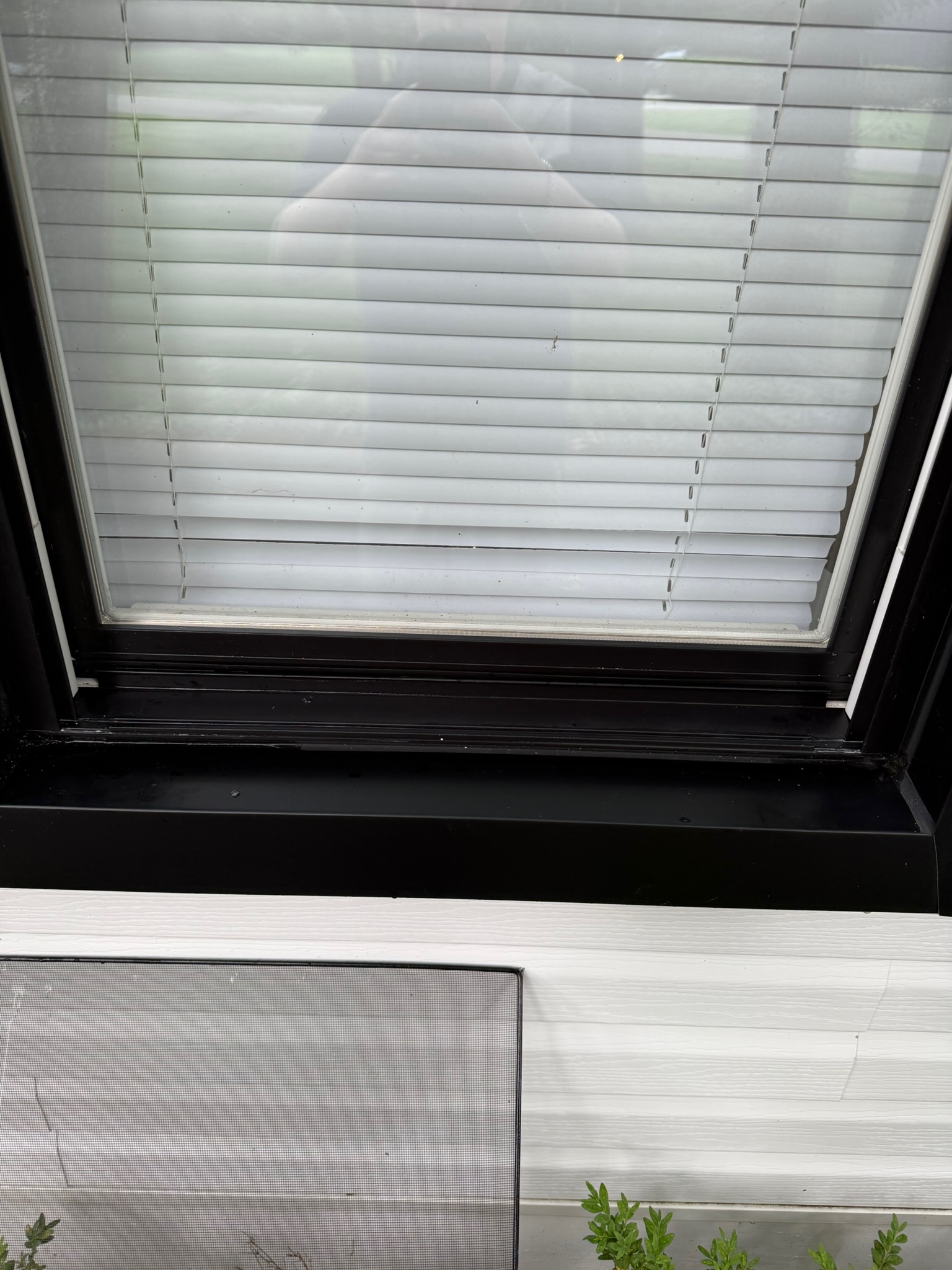 After window cleaning