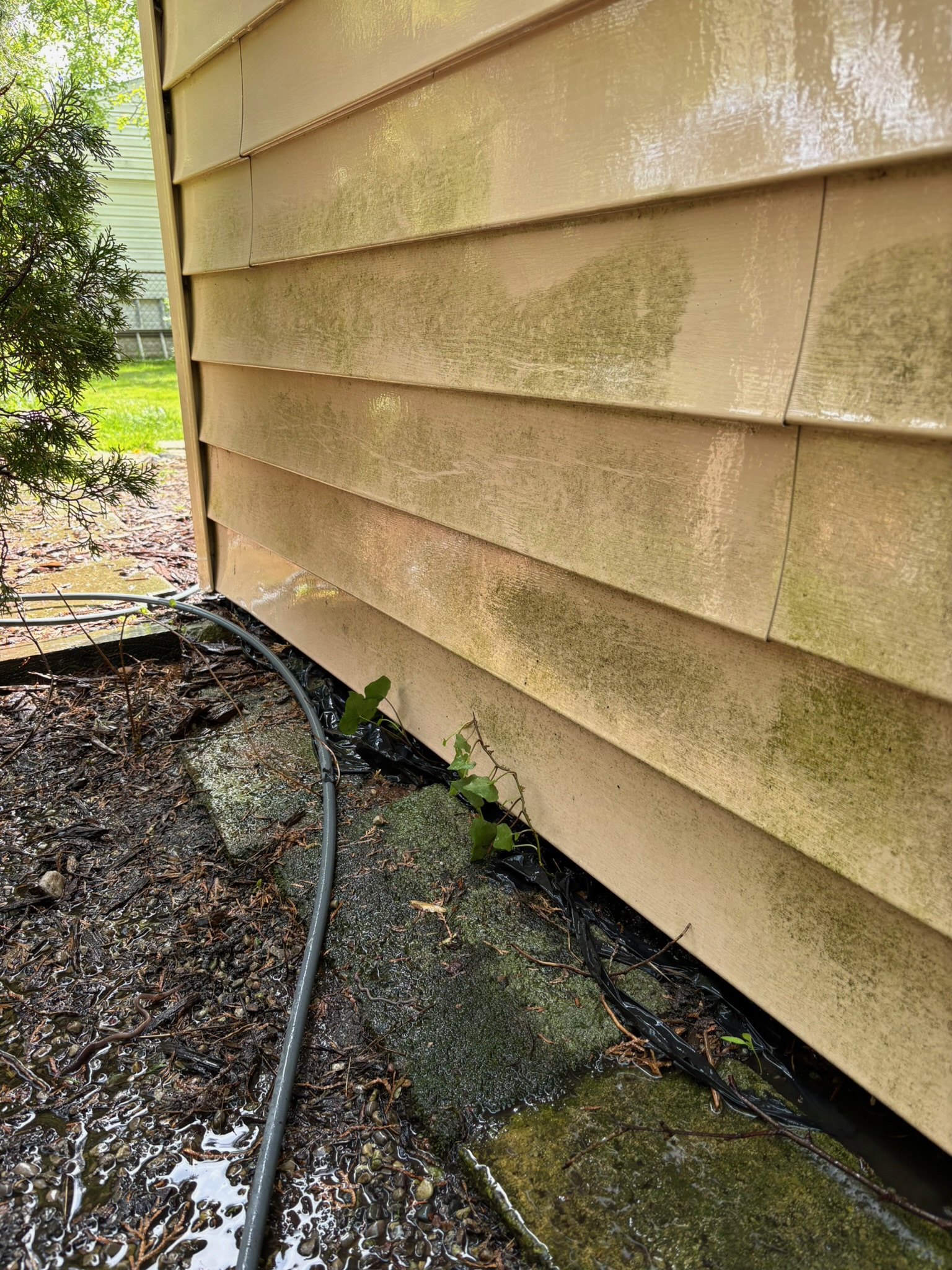 Before power washing